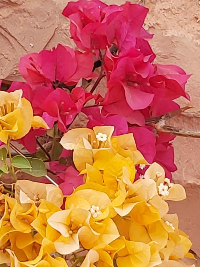 Kasbah Ait Arbi Hotel Ait Ougliff Buitenkant foto